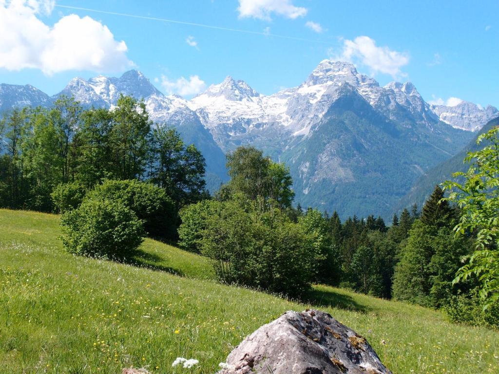 Pension Sonneck Лофер Экстерьер фото